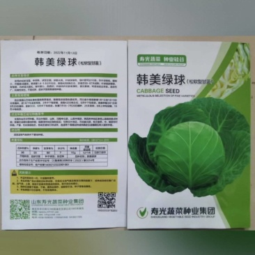 韩美绿球