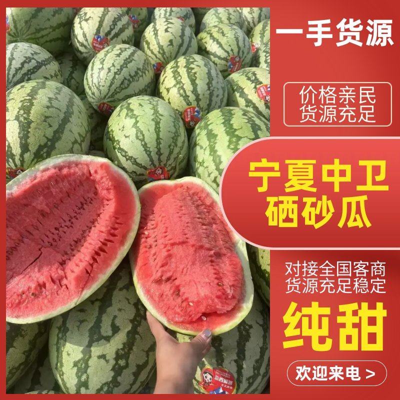 硒砂瓜宁夏中卫石缝西瓜产地直发甜度高全国发货