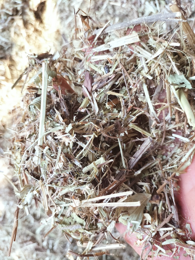 花生秧草料