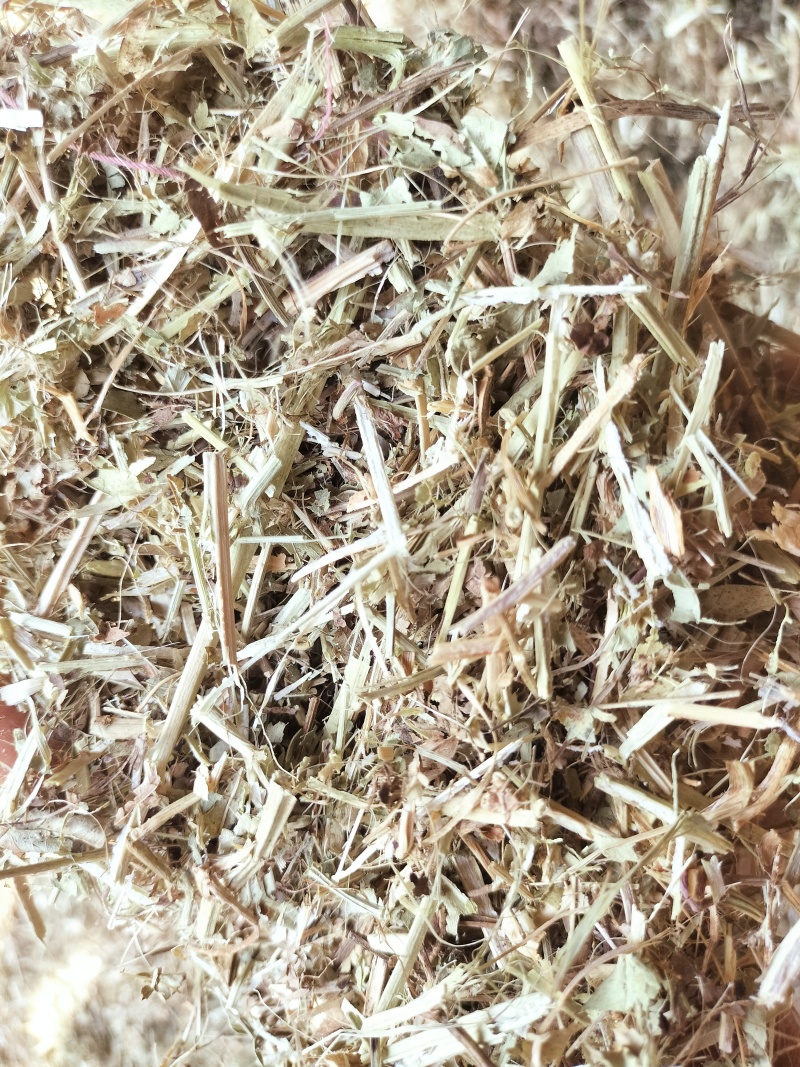 花生秧草料