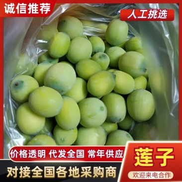 新鲜莲子米品质保证服务周到产地直发价格美丽