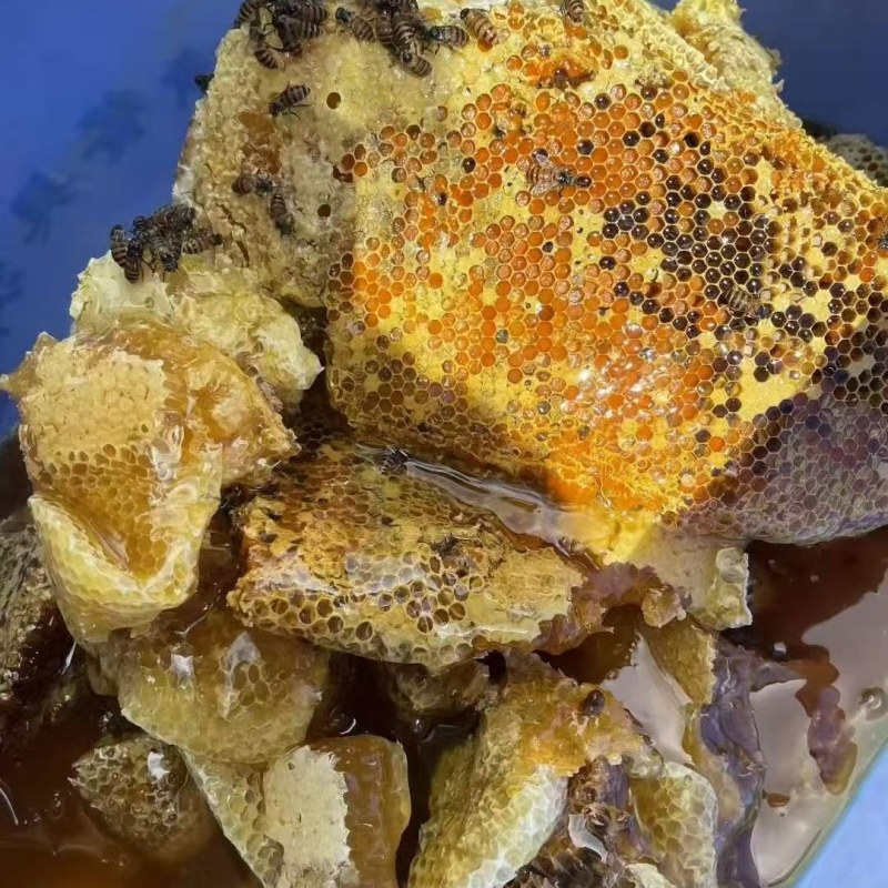 还有400多斤百花蜜
