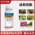48%噻虫胺蚜虫白粉虱木虱介壳虫跳甲叶蝉