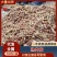 【熟牛肉】山东熟肉筋精品大量新鲜熟肉筋大量现货