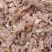 【熟牛肉】山东熟肉筋精品大量新鲜熟肉筋大量现货