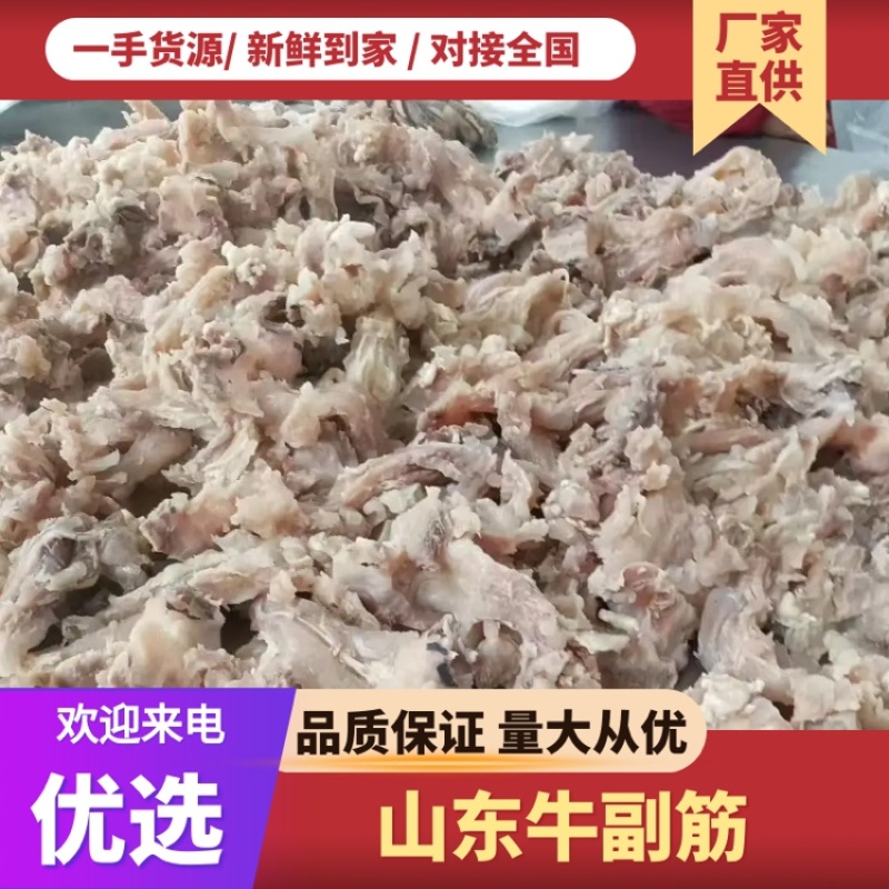 山东国产牛副筋精品牛副筋大量现货牛副筋新鲜大量现货