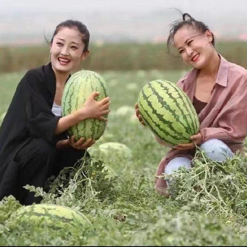 🅰金花西瓜产地直发皮薄瓜甜诚信经营专业团队