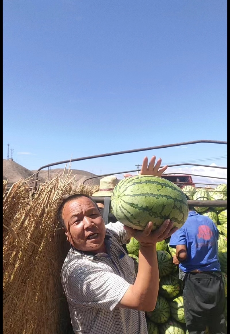 🅰金花西瓜产地直发皮薄瓜甜诚信经营专业团队