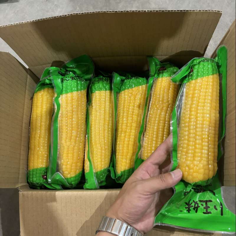 厂家直销真空甜糯玉米220g以上一级品工厂出货