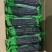 厂家直销真空甜糯玉米220g以上一级品工厂出货