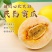 民勤蜜瓜，金红宝大量上市，产地直发，对接全国市场电商