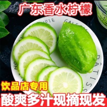 【实力供货】广东香水柠檬酸爽可口整车走货质量好价格优热卖