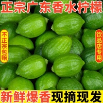 【实力供货】广东香水柠檬整车走货鲜货对接各地区老板热卖中