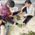 《百部种子》湖北百部/自己货源/人工分拣/全国供应批发