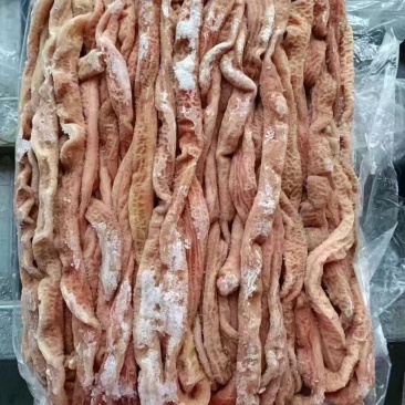 猪小肠