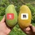 攀枝花特有的芒果，攀岩二号基地一手货源对接全国市场
