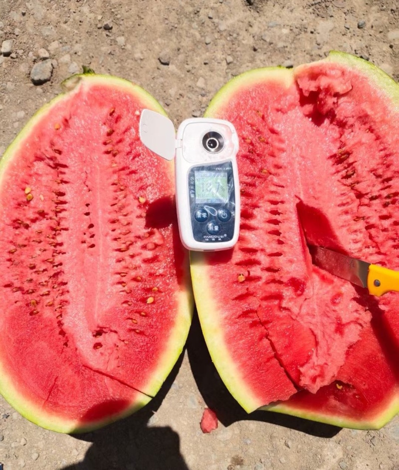 🅰硒砂瓜宁夏硒砂瓜宁夏西瓜产地直发对接全国市场