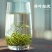 恋凝香精选毛尖绿茶正宗茶叶2025新茶明前手工采摘浓香耐泡型