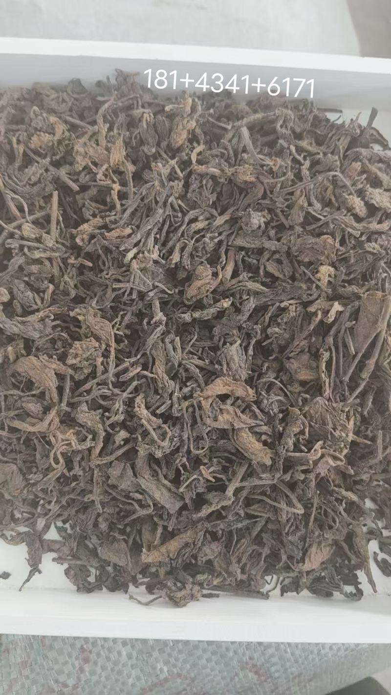 普洱茶