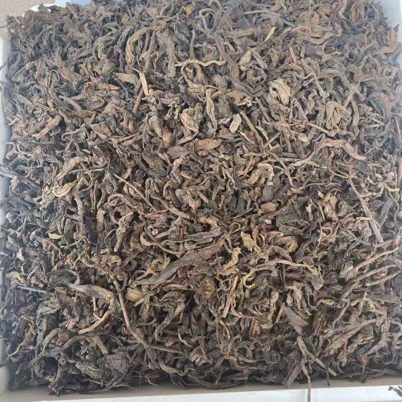 普洱茶