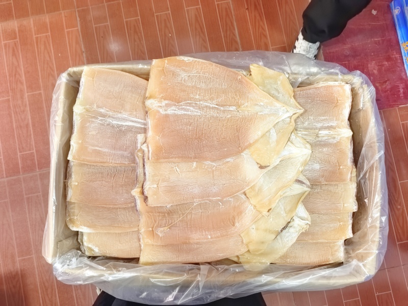 浙江舟山东海鱿鱼干