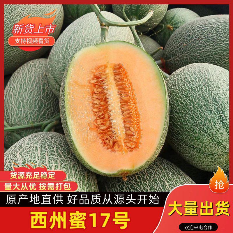西州蜜17号哈密瓜，大量有货，脆甜可口，量大优惠，欢迎合