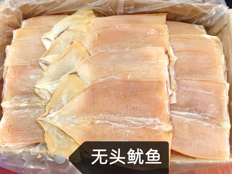 浙江舟山东海鱿鱼干
