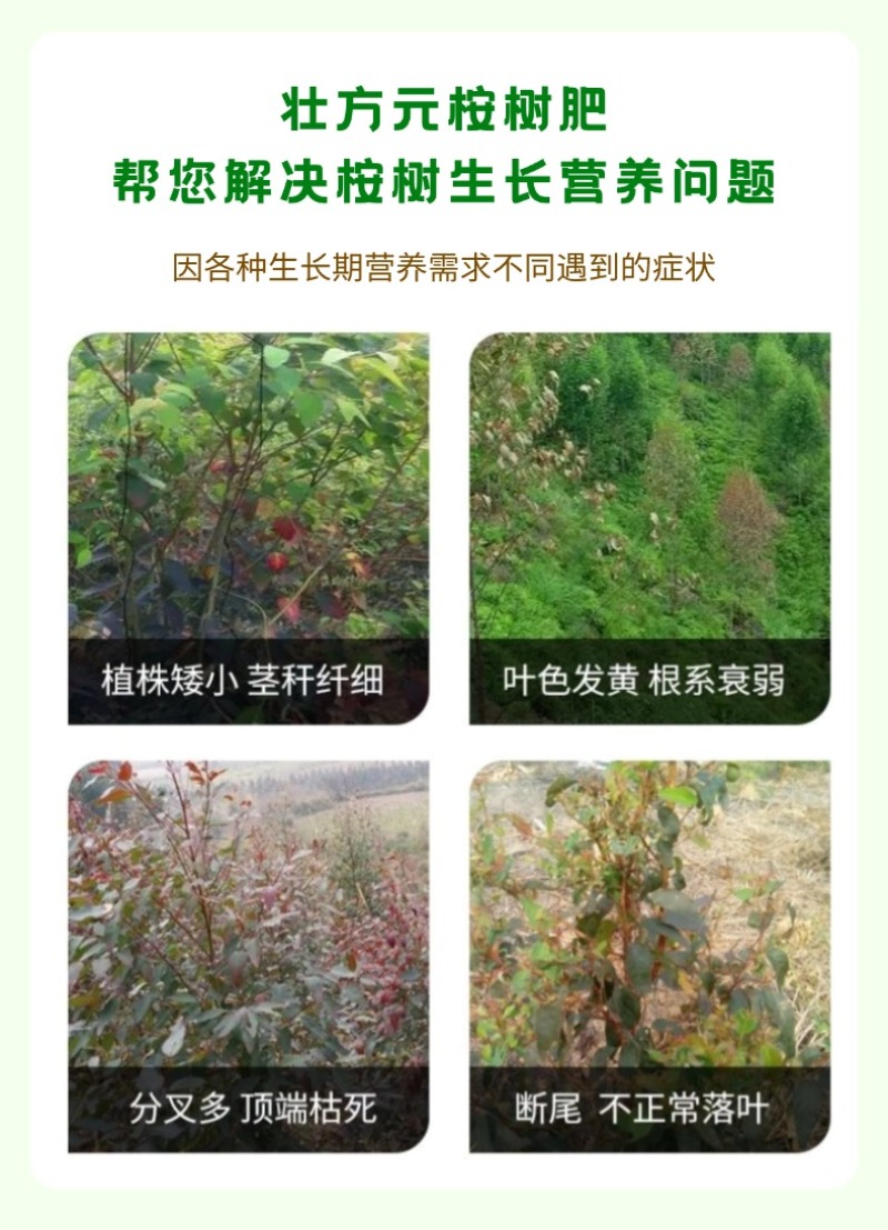 桉树肥桉树有机无机复混肥15-5-1030%有机质