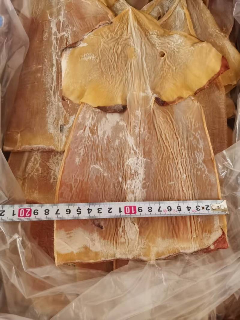 浙江舟山东海鱿鱼干