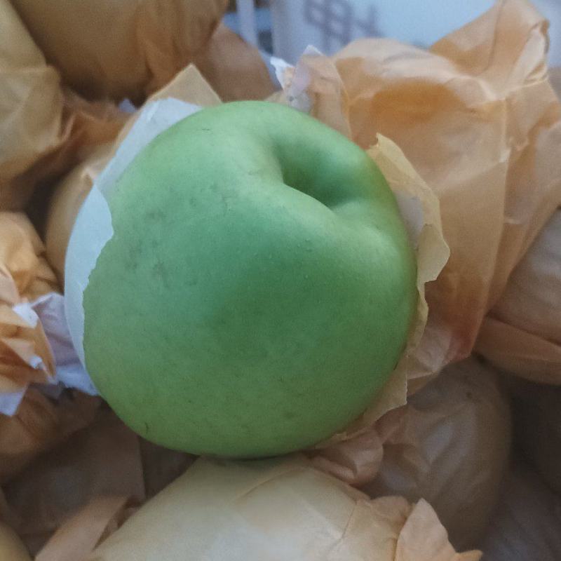 翠玉早梨大量供应口感酥脆甜度高，价格优