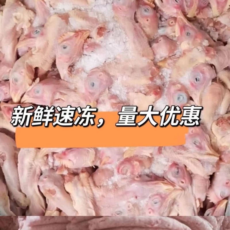 肉食鸡头工厂直发各种级别都有欢迎咨询。