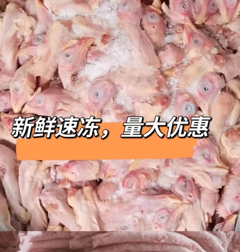 肉食鸡头工厂直发各种级别都有欢迎咨询。