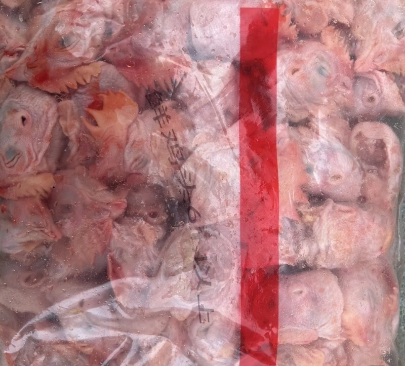 肉食鸡头工厂直发各种级别都有欢迎咨询。