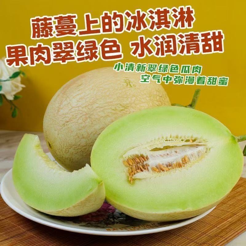 甘肃银蒂蜜瓜，大量有货欢迎新老客户前来合作，量大优惠