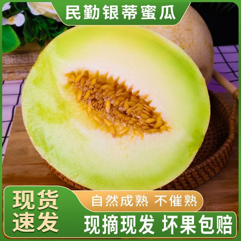 甘肃银蒂蜜瓜，大量有货欢迎新老客户前来合作，量大优惠