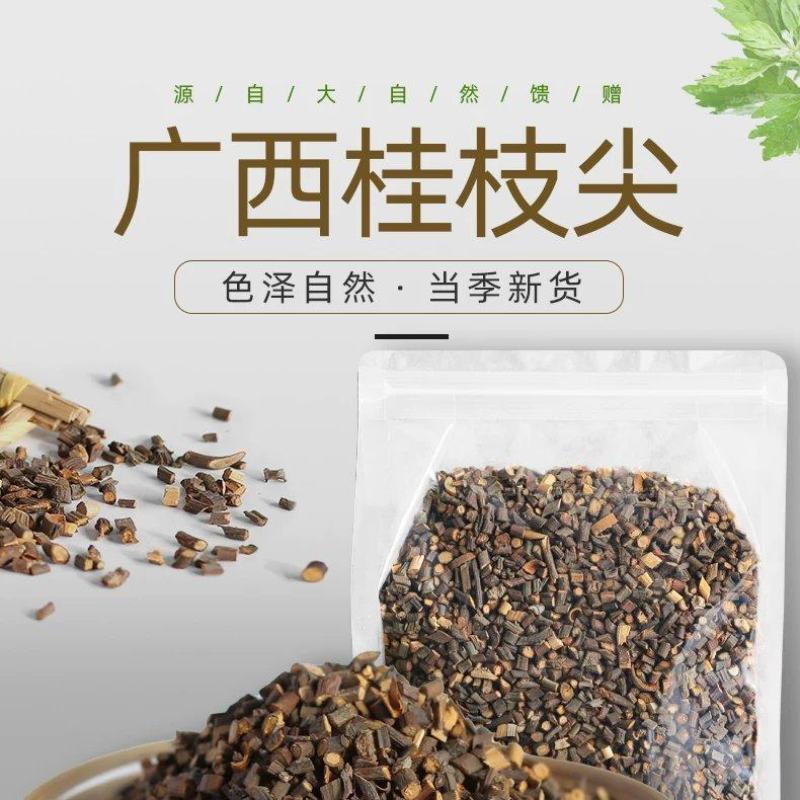 桂枝尖中药材原料批发欢迎留言订购批发价格质量保证正品