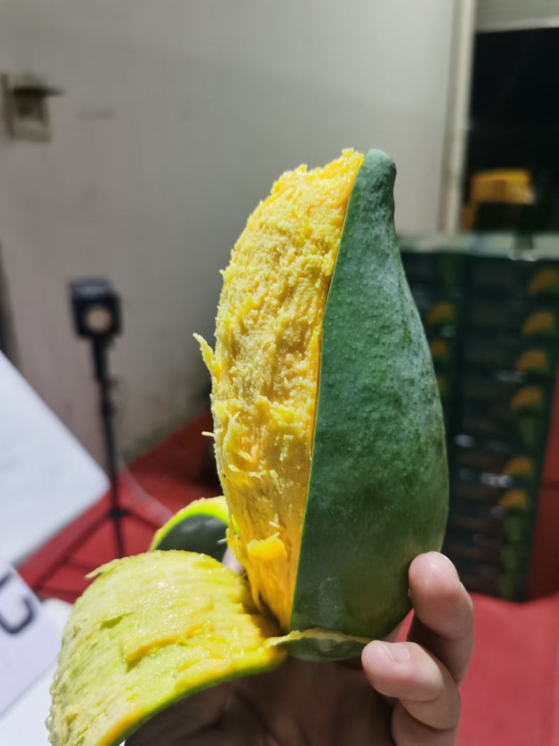 广西百色小桂七芒果，一件也是批发价，产地大量供应