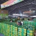 广西百色小桂七芒果，一件也是批发价，产地大量供应