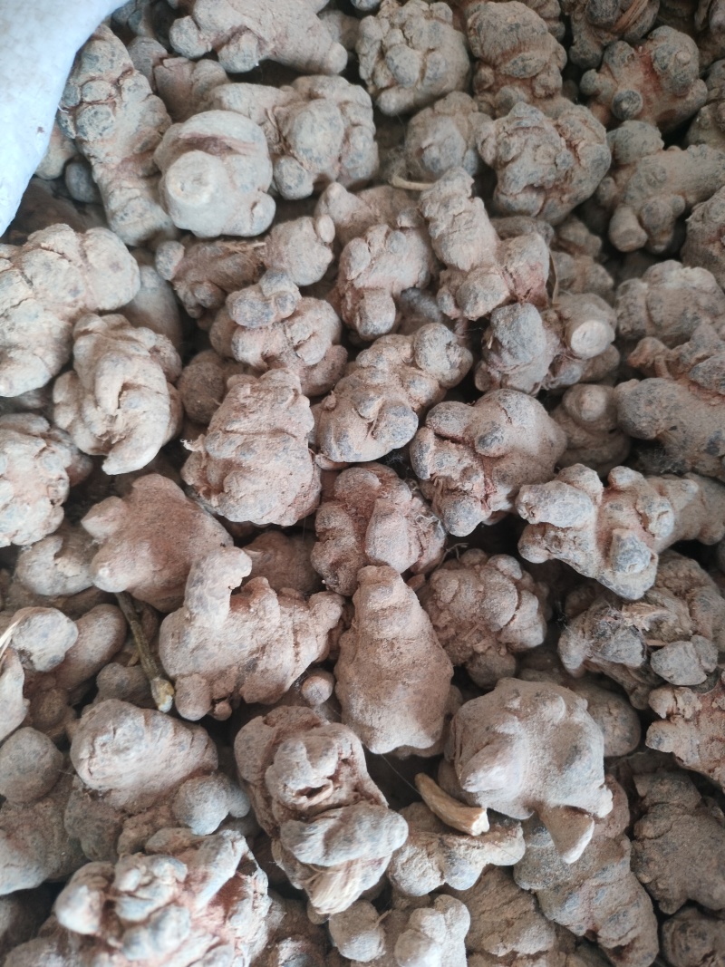 三七中药材原料批发中药材原料批发无硫精选饱满年份足欢迎批