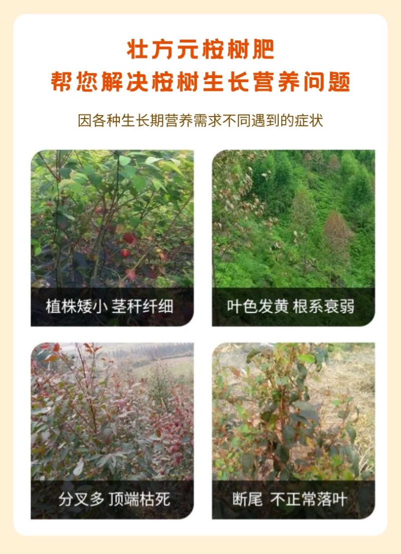 广西桉树肥复合肥林木适用20-8-12配方40含量加硼锌