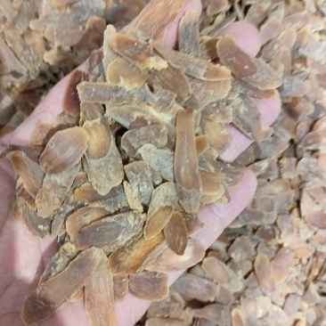 红参片中药材原料批发无硫***批发中药材各种规格都有规格