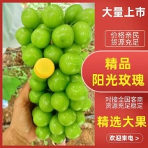 【阳光玫瑰】湖南常德阳光玫瑰葡萄产地直发颗粒大口感好