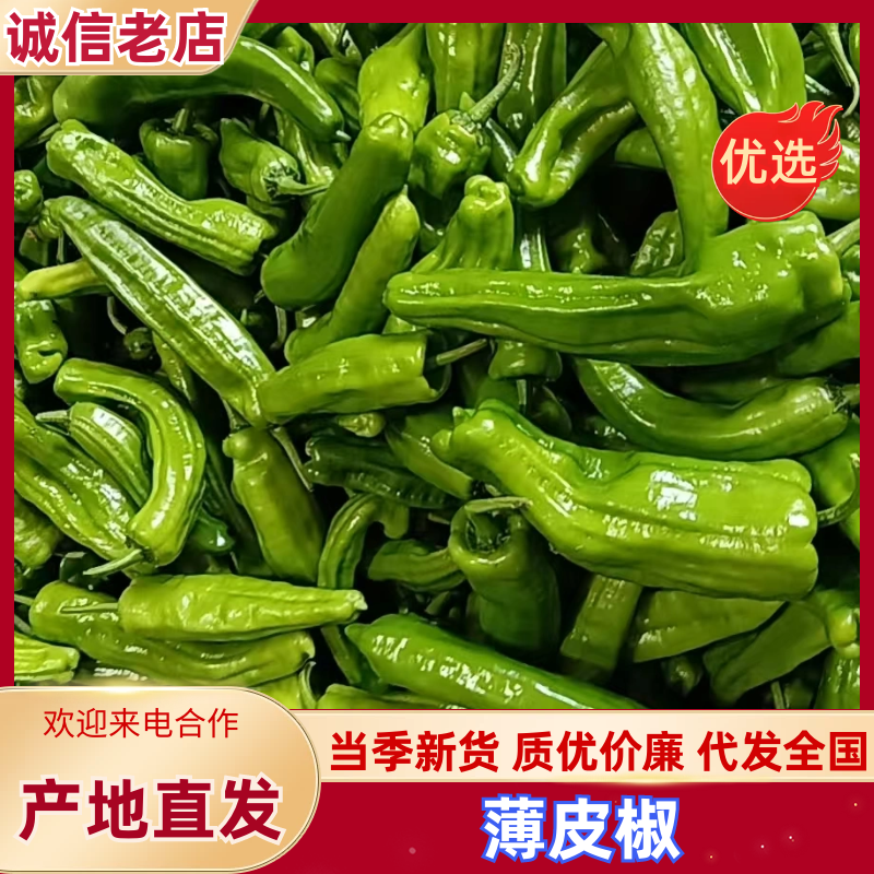 薄皮椒芜湖椒自产自销产地直供支持视频看货