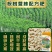 广西桉树肥20-8-12营林配方40%复速生桉复合肥