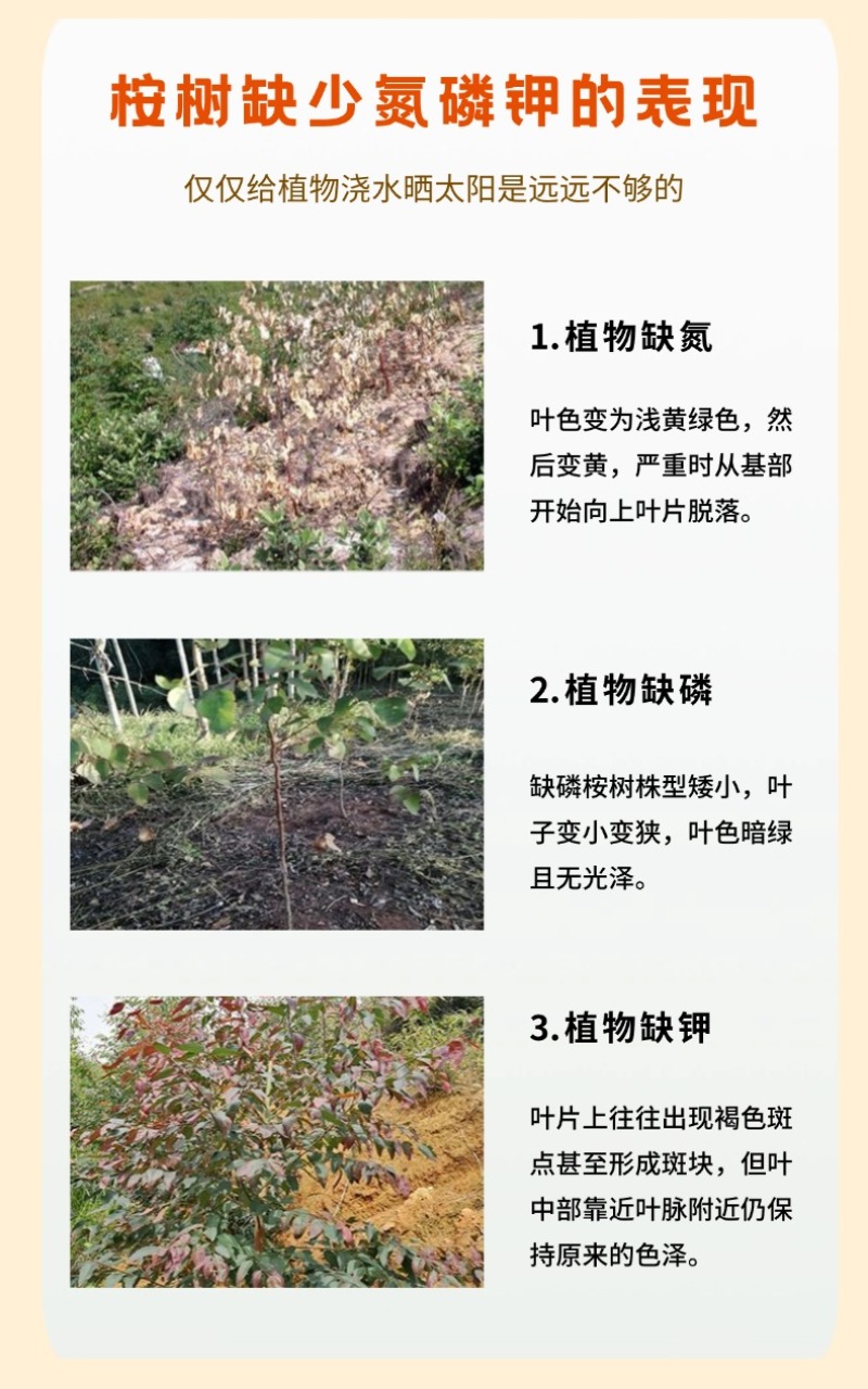 广西桉树肥20-8-12营林配方40%复速生桉复合肥
