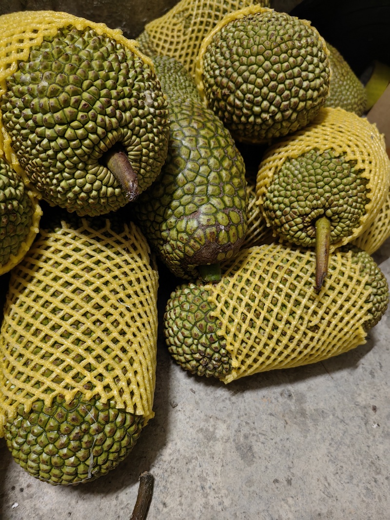 尖蜜拉