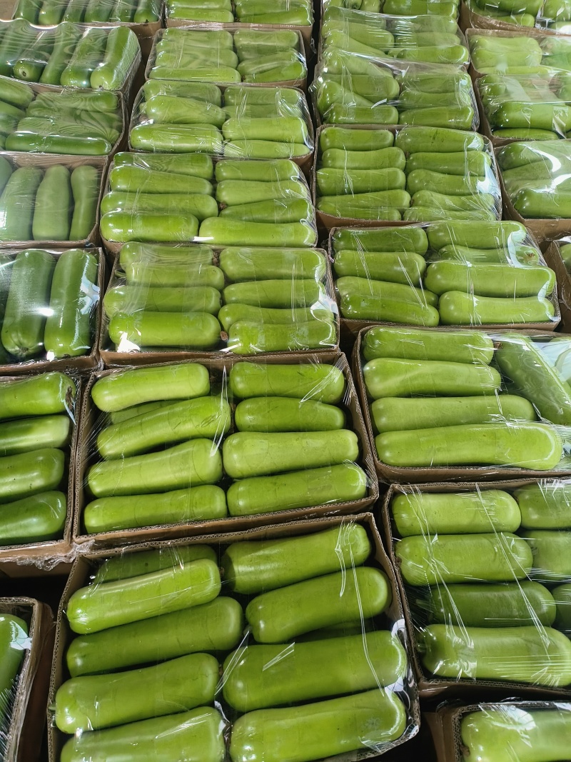 弧子，胡子，绿胡子，产地直供，产地直发，
