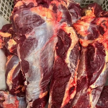 牦牛肉