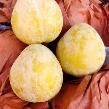 黄金奈李