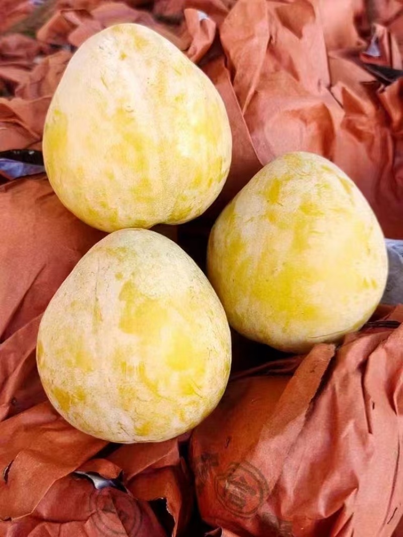 黄金奈李